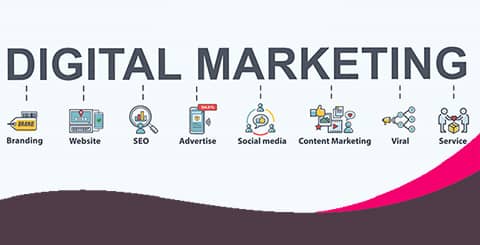 Sanctify - Digital Marketing Agency in Goa